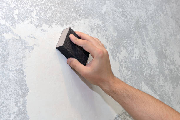 Best Air Quality Testing for Mold Spores  in Fort Denaud, FL