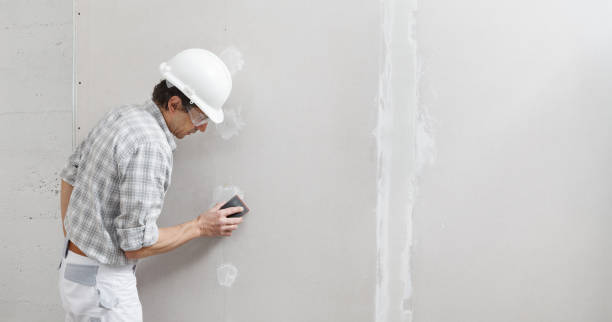 Mold Odor Removal Services in Fort Denaud, FL